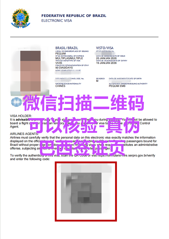 巴西电子签证:如何验证真假 巴西电子签证:如何验证真假